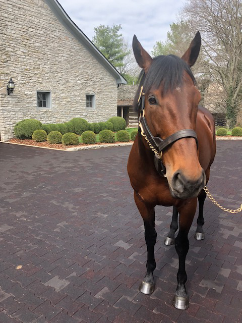 Keeneland Season Open Lexington KY