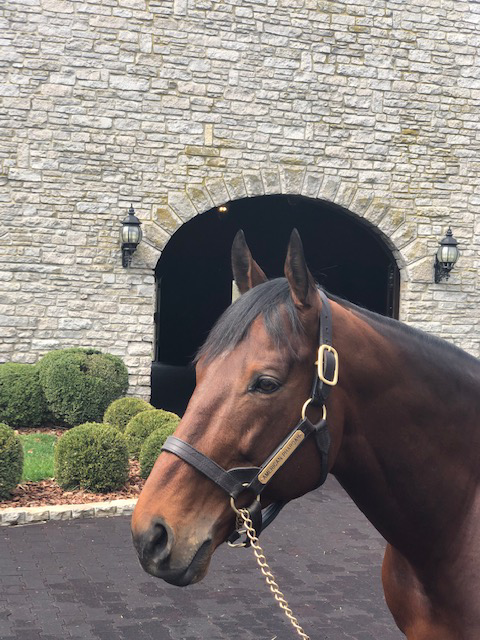 Keeneland Season Open Lexington KY