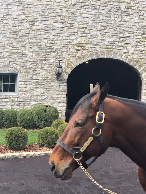 Keeneland Season Open Lexington KY