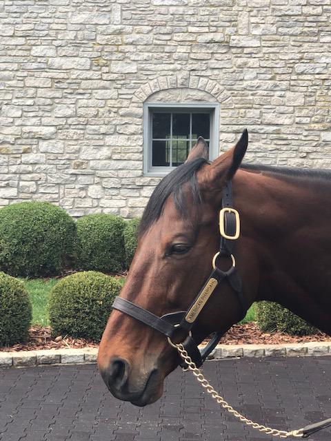 Keeneland Season Open Lexington KY