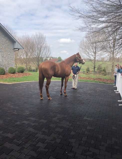 Keeneland Season Open Lexington KY