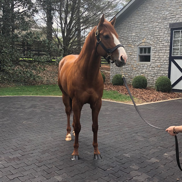 Keeneland Season Open Lexington KY